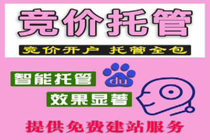 百度竞价排名案例：如何快速提升品牌知名度